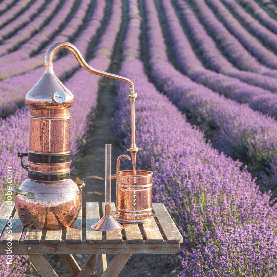 Inhaltsstoffe Schweizer Seifen Lavendelfeld